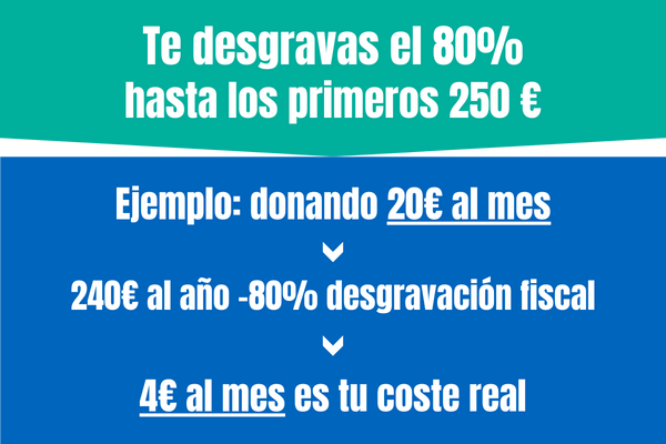desgravacion fiscal ong donacion