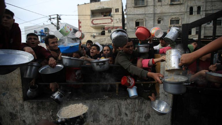 como ayudar dona ong gaza palestina