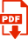 Icono PDF