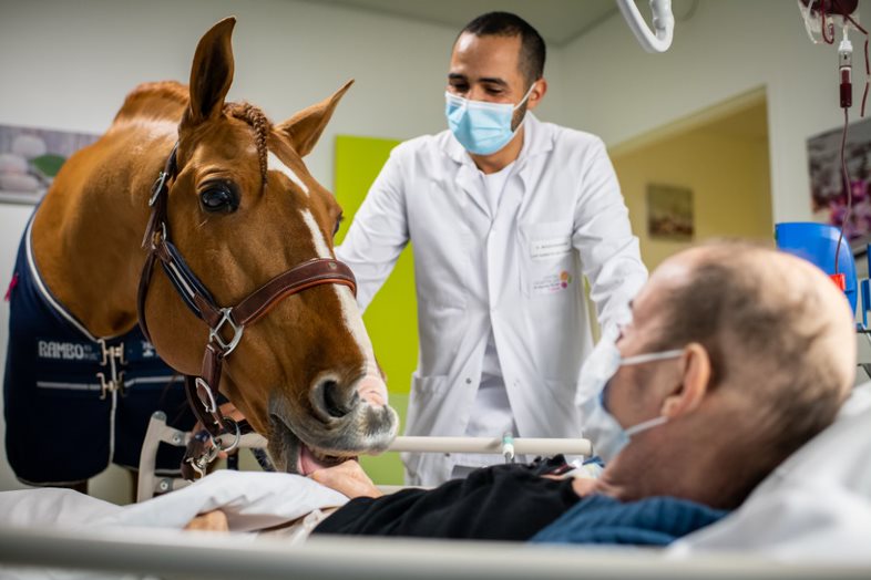 Fotografía de la serie 'Doctor Peyo and Mister Hassen' de Jerémy Lempin