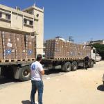 Un segundo convoy de productos médicosentró en la Franja de Gaza.